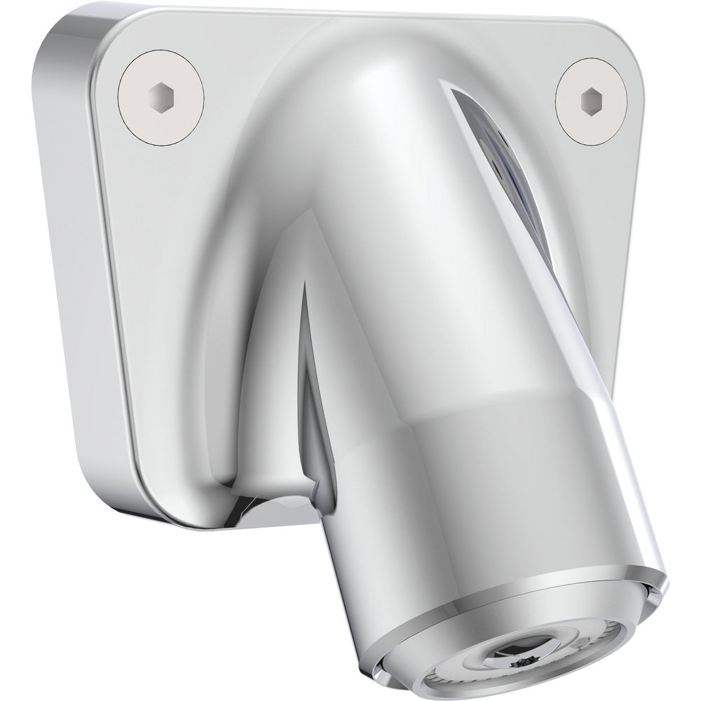 Commercial Instit Parts: 30 Degree Institutional Shower Head - 1.5 GPM