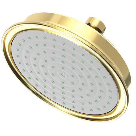 Single Function Shower Head in Multiple Finishes - Maison&Co.