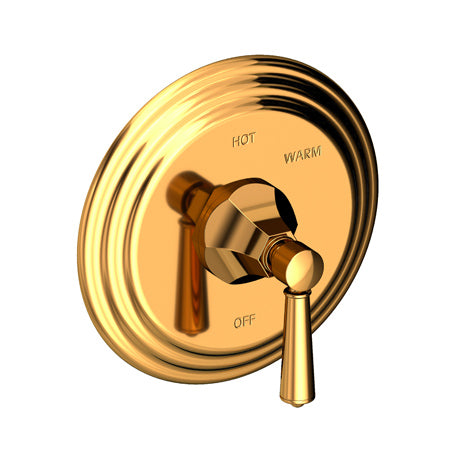 Balanced Pressure Shower Trim Plate With Handle. Less Showerhead, Arm And Flange. in Multiple Finishes - Maison&Co.