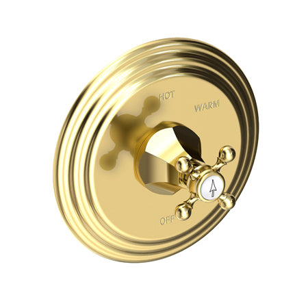 Balanced Pressure Shower Trim Plate With Handle. Less Showerhead, Arm And Flange. in Multiple Finishes - Maison&Co.