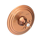 Balanced Pressure Shower Trim Plate With Handle. Less Showerhead, Arm And Flange. in Multiple Finishes - Maison&Co.