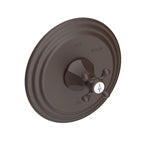 Balanced Pressure Shower Trim Plate With Handle. Less Showerhead, Arm And Flange. in Multiple Finishes - Maison&Co.