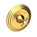 Balanced Pressure Shower Trim Plate With Handle. Less Showerhead, Arm And Flange. in Multiple Finishes - Maison&Co.