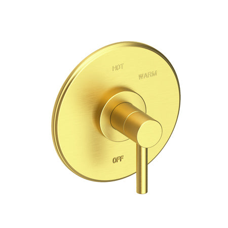 Balanced Pressure Shower Trim Plate With Handle. Less Showerhead, Arm And Flange. in Multiple Finishes - Maison&Co.