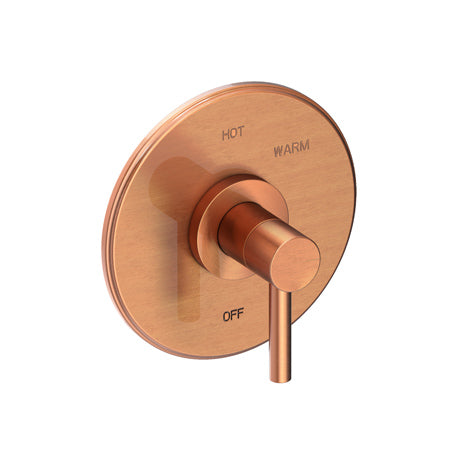 Balanced Pressure Shower Trim Plate With Handle. Less Showerhead, Arm And Flange. in Multiple Finishes - Maison&Co.