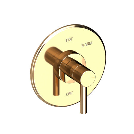 Balanced Pressure Shower Trim Plate With Handle. Less Showerhead, Arm And Flange. in Multiple Finishes - Maison&Co.