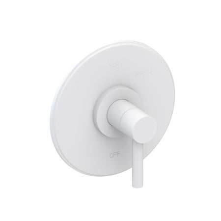 Balanced Pressure Shower Trim Plate With Handle. Less Showerhead, Arm And Flange. in Multiple Finishes - Maison&Co.