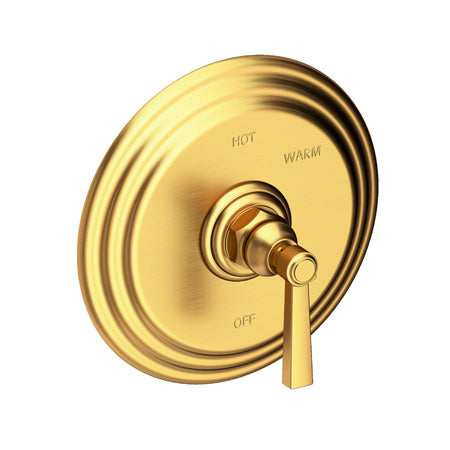 Balanced Pressure Shower Trim Plate With Handle. Less Showerhead, Arm And Flange. in Multiple Finishes - Maison&Co.