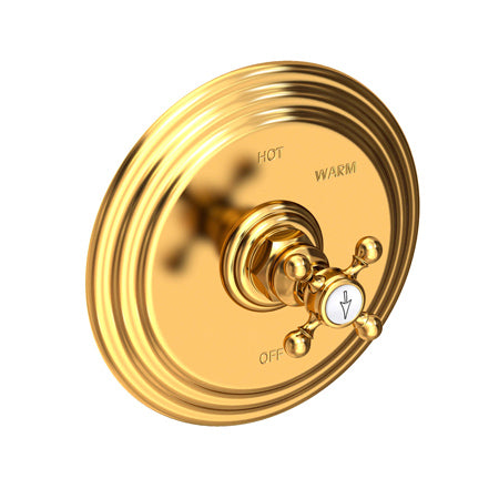 Balanced Pressure Shower Trim Plate With Handle. Less Showerhead, Arm And Flange. in Multiple Finishes - Maison&Co.