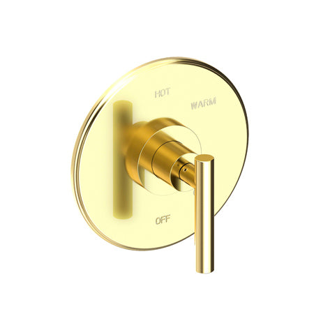 Balanced Pressure Shower Trim Plate With Handle. Less Showerhead, Arm And Flange. in Multiple Finishes - Maison&Co.