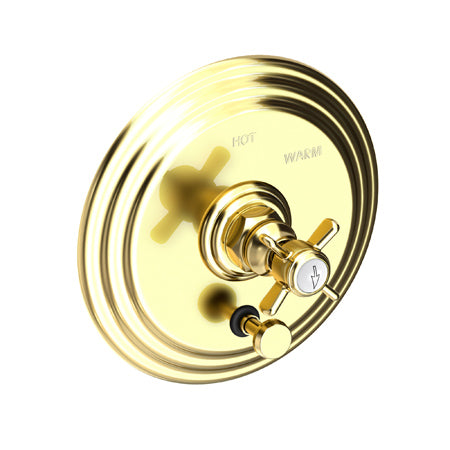 Balanced Pressure Tub & Shower Diverter Plate With Handle in Multiple Finishes - Maison&Co.