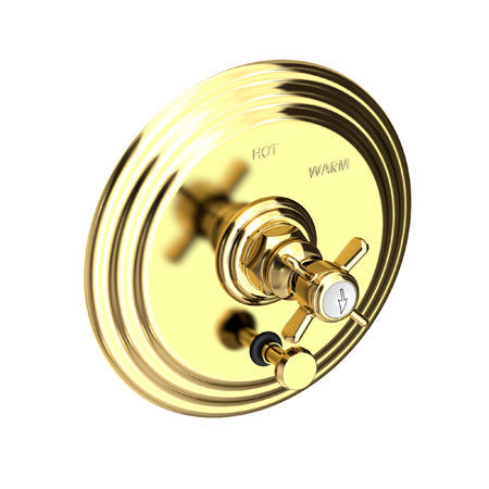 Balanced Pressure Tub & Shower Diverter Plate With Handle in Multiple Finishes - Maison&Co.