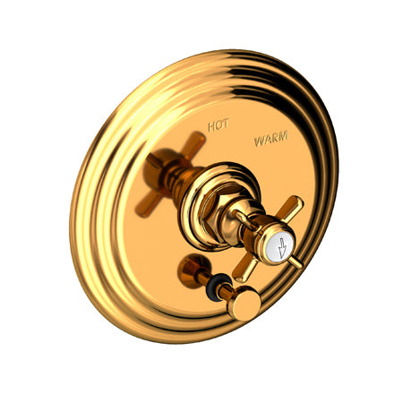 Balanced Pressure Tub & Shower Diverter Plate With Handle in Multiple Finishes - Maison&Co.