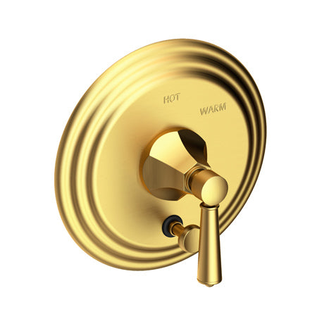 Balanced Pressure Tub & Shower Diverter Plate With Handle in Multiple Finishes - Maison&Co.