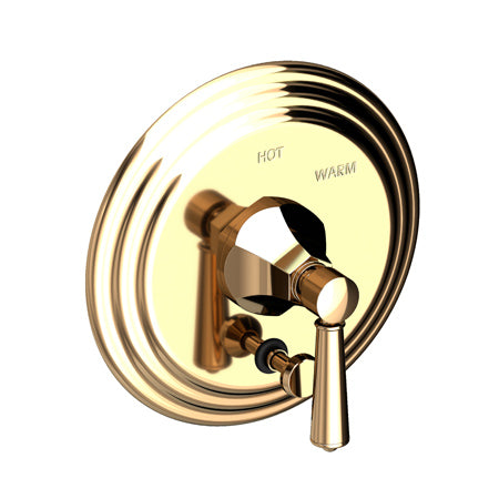 Balanced Pressure Tub & Shower Diverter Plate With Handle in Multiple Finishes - Maison&Co.