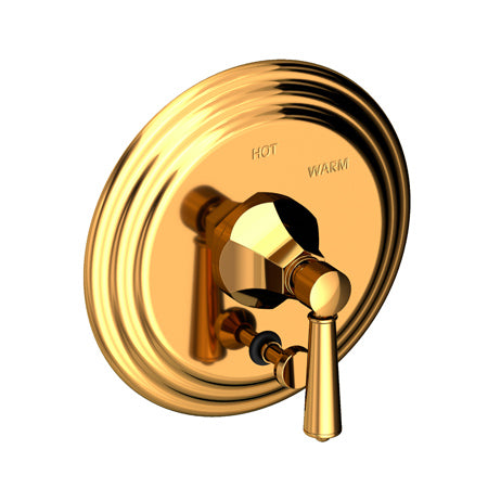 Balanced Pressure Tub & Shower Diverter Plate With Handle in Multiple Finishes - Maison&Co.