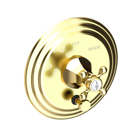 Balanced Pressure Tub & Shower Diverter Plate With Handle in Multiple Finishes - Maison&Co.