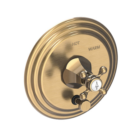 Balanced Pressure Tub & Shower Diverter Plate With Handle in Multiple Finishes - Maison&Co.
