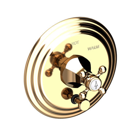 Balanced Pressure Tub & Shower Diverter Plate With Handle in Multiple Finishes - Maison&Co.