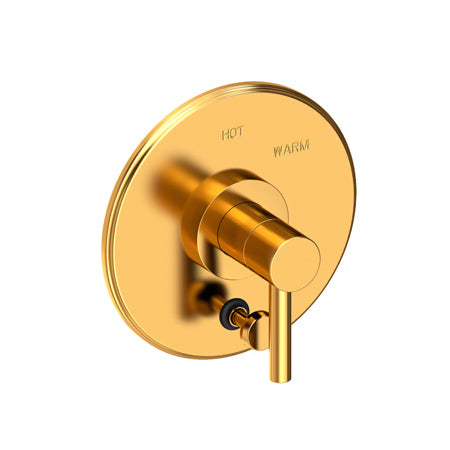 Balanced Pressure Tub & Shower Diverter Plate With Handle in Multiple Finishes - Maison&Co.