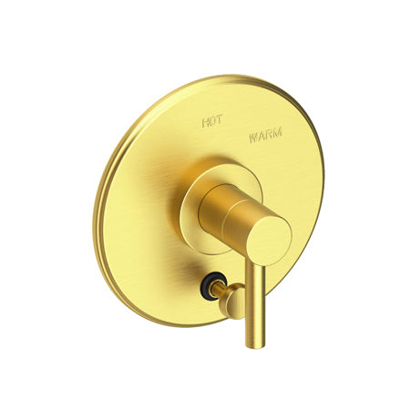 Balanced Pressure Tub & Shower Diverter Plate With Handle in Multiple Finishes - Maison&Co.