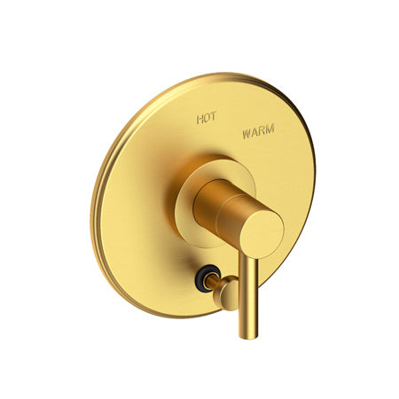 Balanced Pressure Tub & Shower Diverter Plate With Handle in Multiple Finishes - Maison&Co.