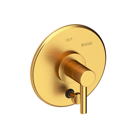 Balanced Pressure Tub & Shower Diverter Plate With Handle in Multiple Finishes - Maison&Co.