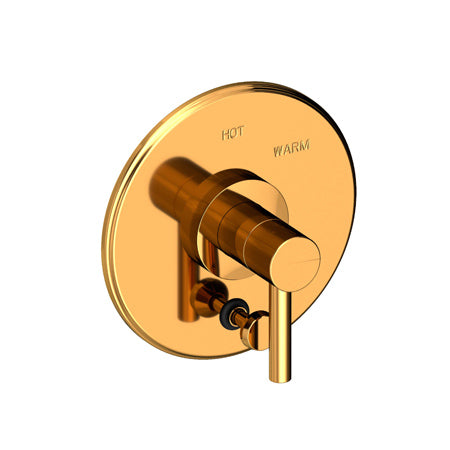 Balanced Pressure Tub & Shower Diverter Plate With Handle in Multiple Finishes - Maison&Co.