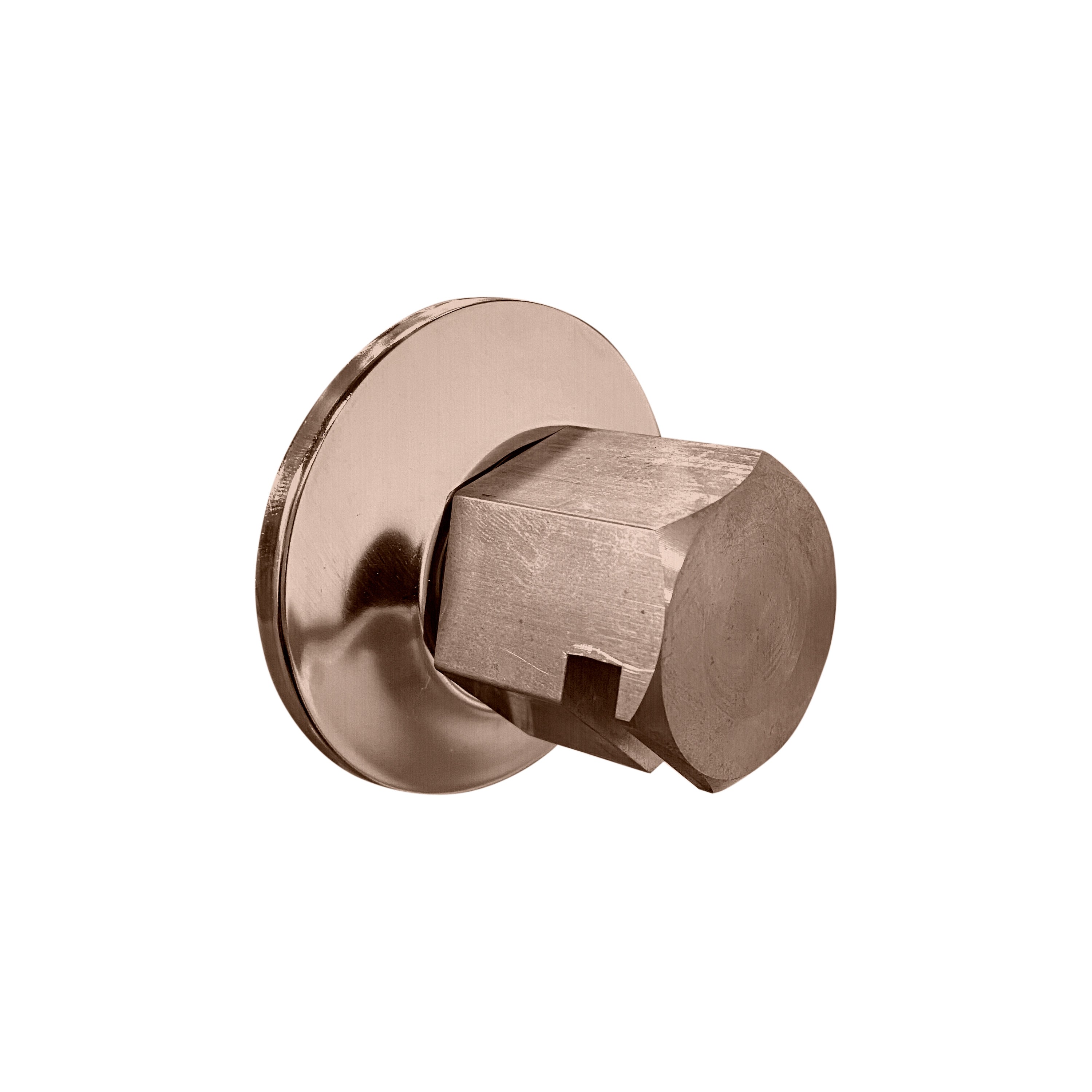 Legacy Steamhead, 3/4" - Maison&Co.