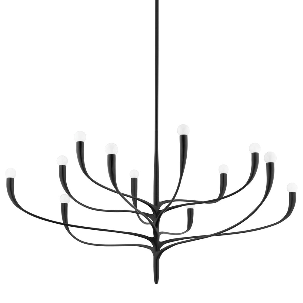 Hudson Valley - 9612-AI - 12 Light Chandelier - Labra - Aged Iron