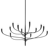 Hudson Valley - 9612-AI - 12 Light Chandelier - Labra - Aged Iron