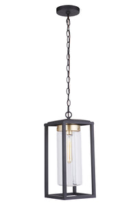 Craftmade - ZA4821 - Neo One Light Outdoor Pendant in Mulltiple Finishes - Neo