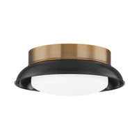 Troy Lighting - C2014-PBR/GBK - Two Light Flush Mount - Arnie - Patina Brass/Glass Black