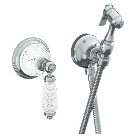 Wall Mounted Bidet Spray Set & Progressive Mixer With 49" Hose