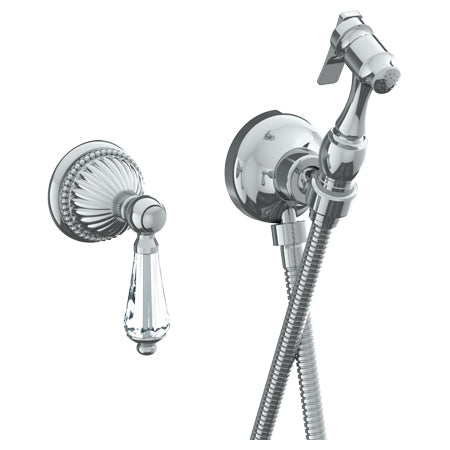 Wall Mounted Bidet Spray Set & Progressive Mixer With 49" Hose