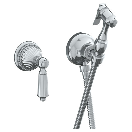 Wall Mounted Bidet Spray Set & Progressive Mixer With 49" Hose