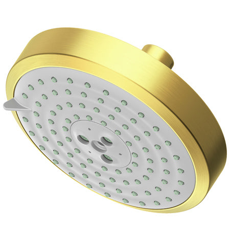 Multifunction Showerhead  in Multiple Finishes