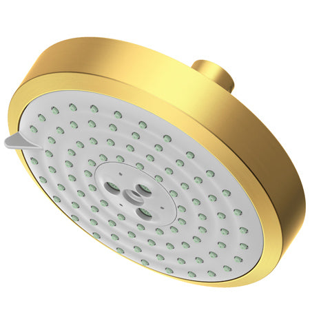 Multifunction Showerhead  in Multiple Finishes