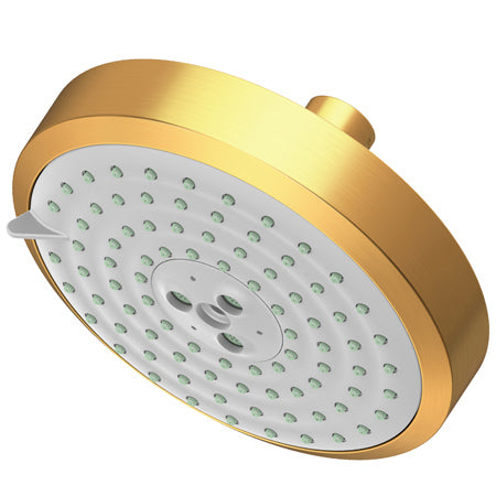 Multifunction Showerhead  in Multiple Finishes