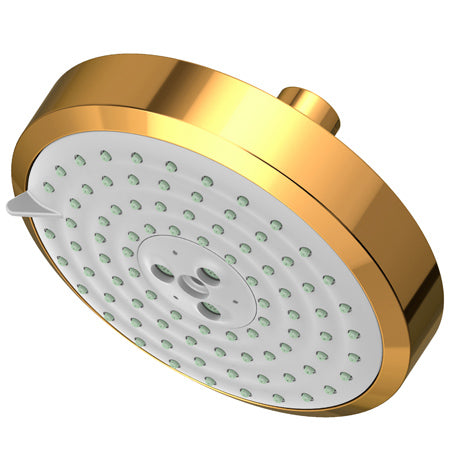 Multifunction Showerhead  in Multiple Finishes