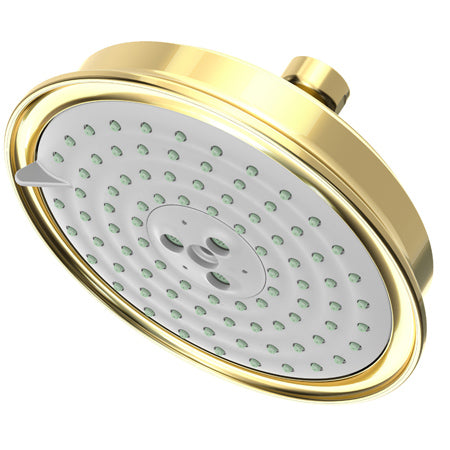 Multifunction Showerhead  in Multiple Finishes