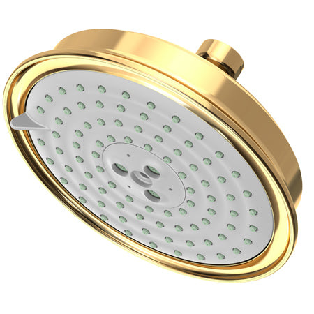 Multifunction Showerhead  in Multiple Finishes