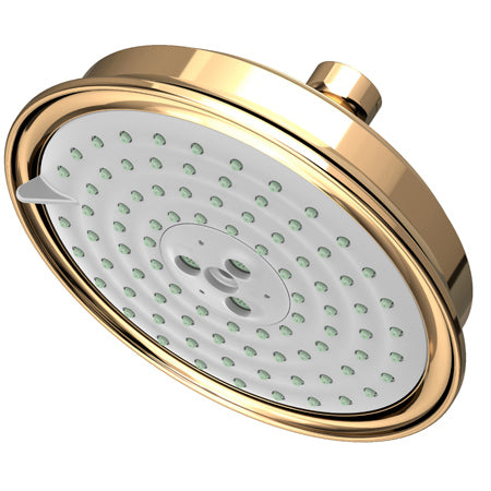 Multifunction Showerhead  in Multiple Finishes