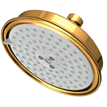 Multifunction Showerhead  in Multiple Finishes