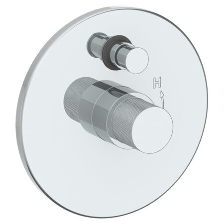 Wall Mounted Pressure Balance Shower Trim With Diverter, 7" Dia.