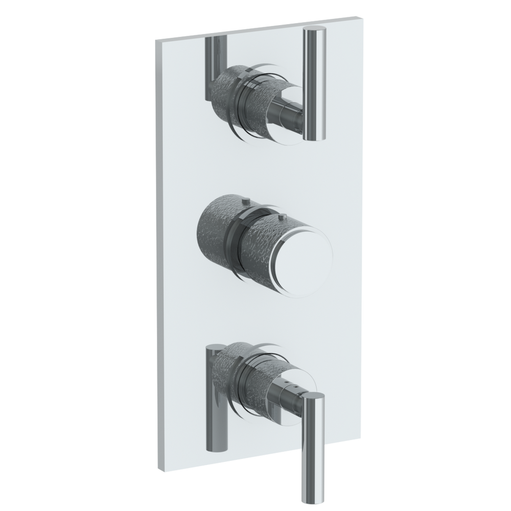 Wall Mounted Thermostatic Shower Trim With 2 Built-In Controls, 6 1/4" X 12"