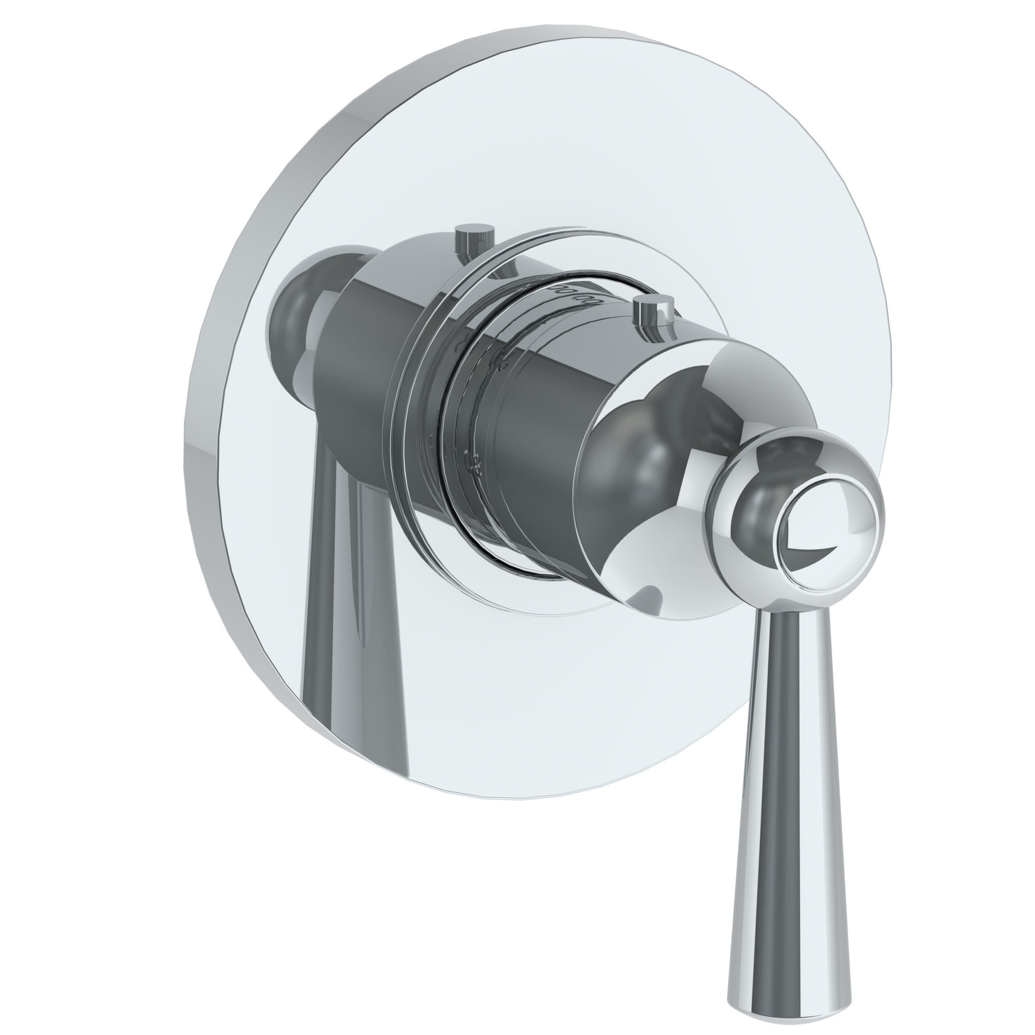 Wall Mounted Mini Thermostatic Shower Trim, 3 1/2" Dia.