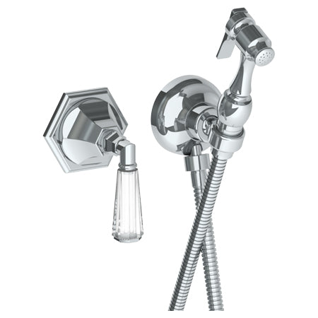 Wall Mounted Bidet Spray Set & Progressive Mixer With 49" Hose