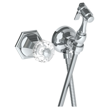 Wall Mounted Bidet Spray Set & Progressive Mixer With 49" Hose