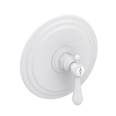 Balanced Pressure Shower Trim Plate With Handle. Less Showerhead, Arm And Flange. in Multiple Finishes